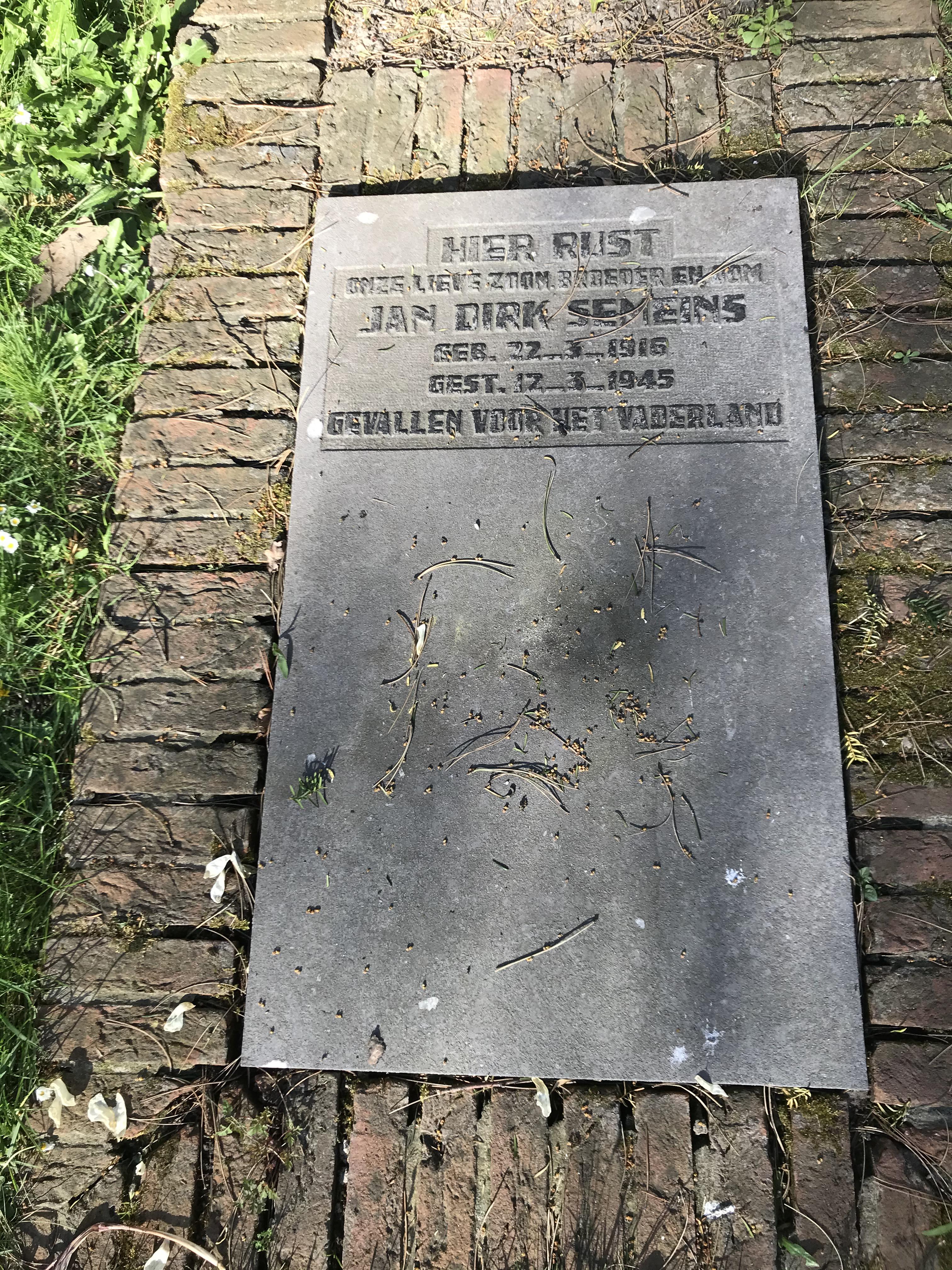 1607669733_91464.jpg