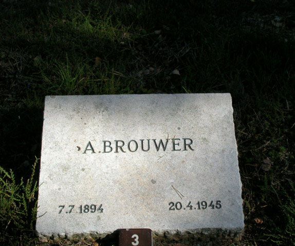A.Brouwer 1.jpg