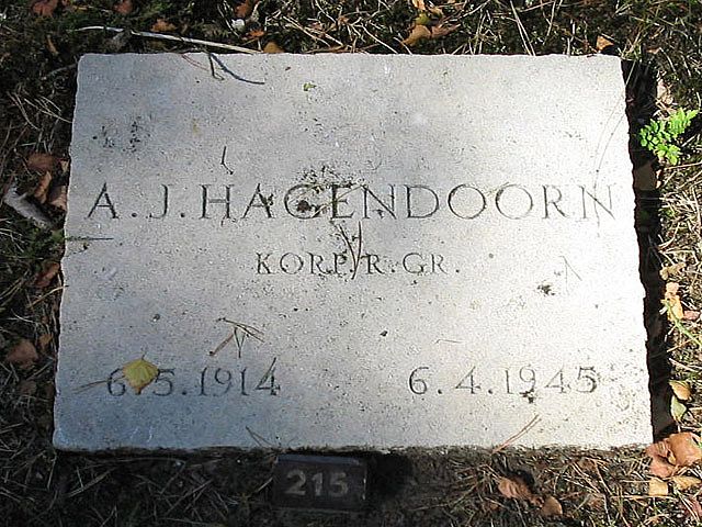 A.J.Hagendoorn.jpg