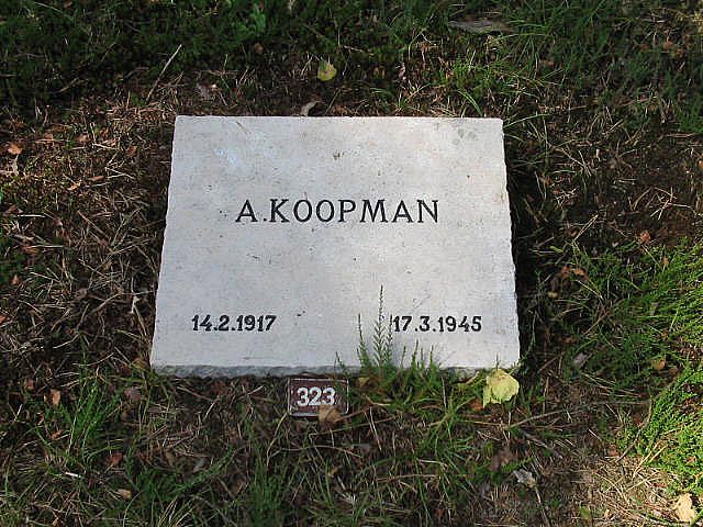 A.Koopman.jpg