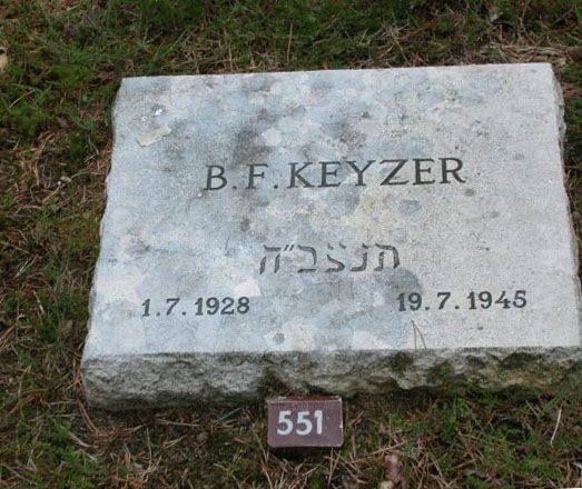 B.F.Keyzer.jpg