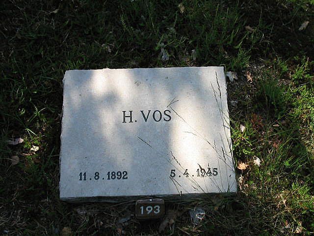 H.Vos.jpg