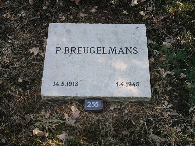 P.Breugelmans.jpg