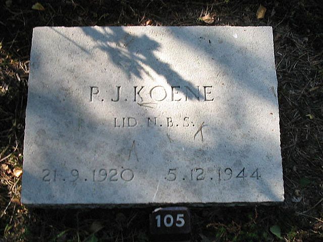 P.J.Koene.jpg