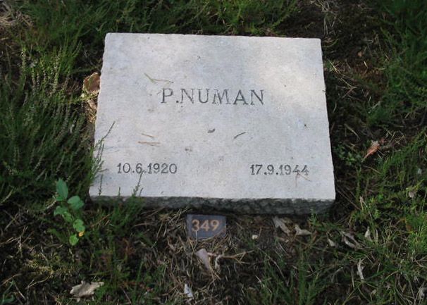 P.Numan.jpg