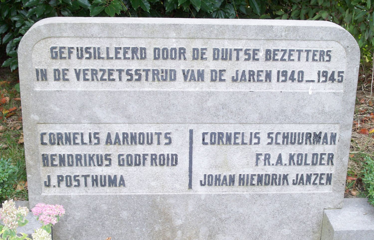 aarnouts.c.2009.jpg