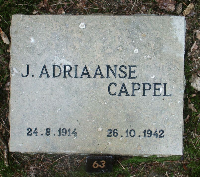 adriaanse-cappel.j.jpg