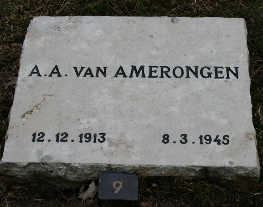 amerongen.a.a.van.2009.jpg