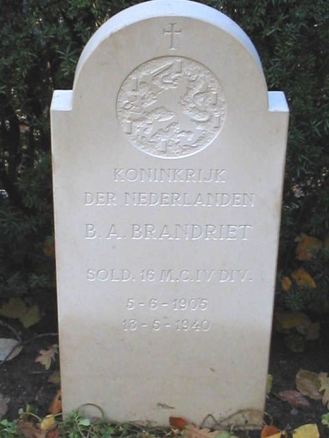 b.a.brandiet.jpg