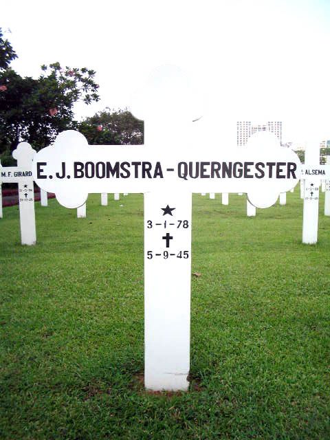 boomstra.querngester.e.j.2005.jpg