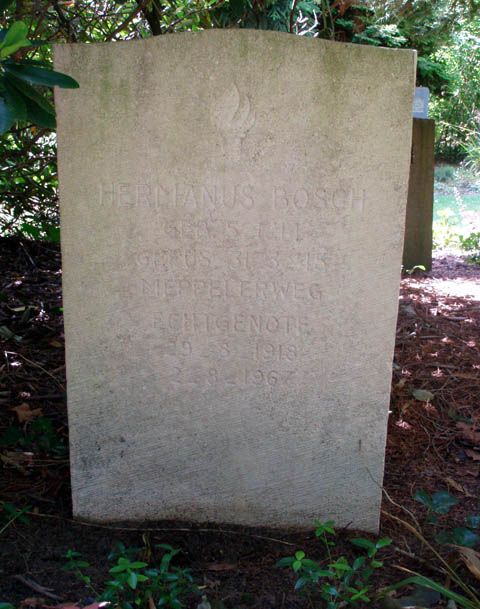 bosch h.jpg