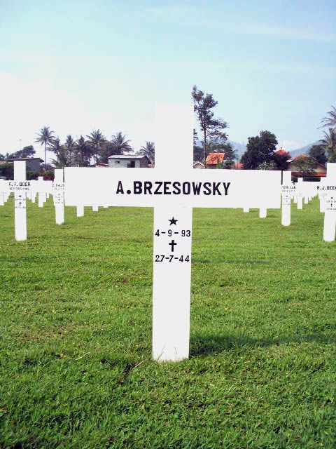 brzesowsky.a.2005.jpg