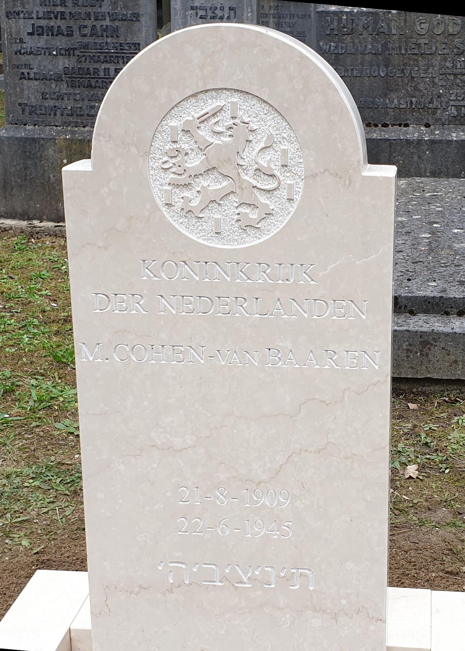 cohen-van baaren.jpg