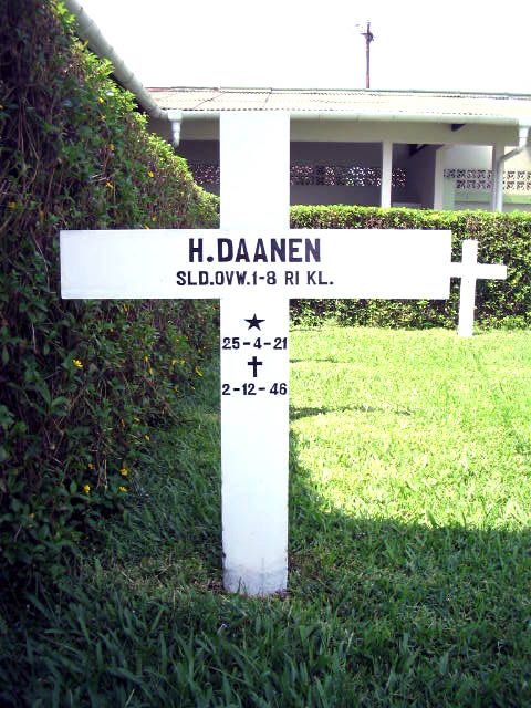 daanen.h.2005.jpg