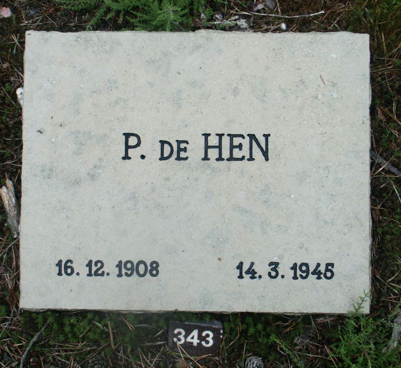 hen.de.p.jpg