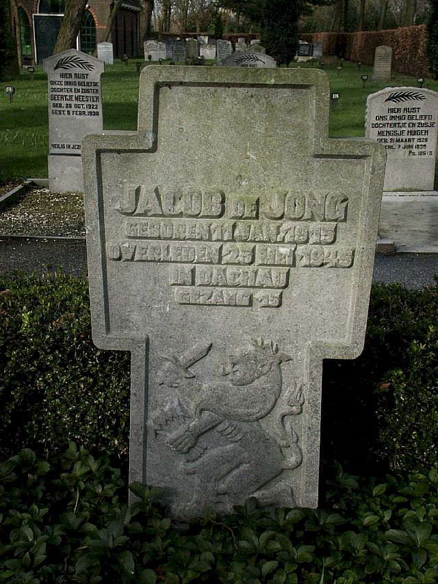 jong de.jpg