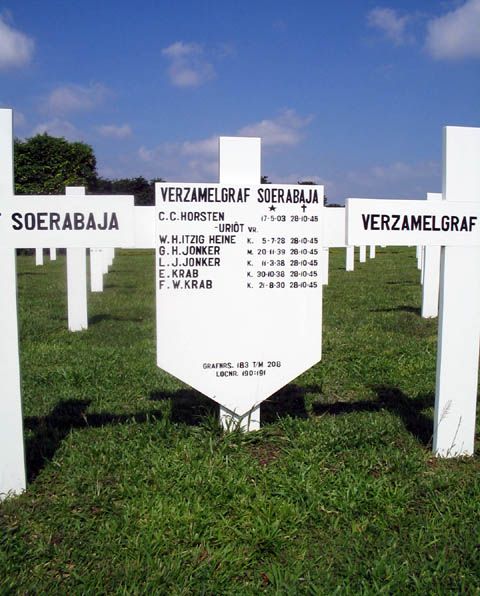 krab.e.2005.jpg