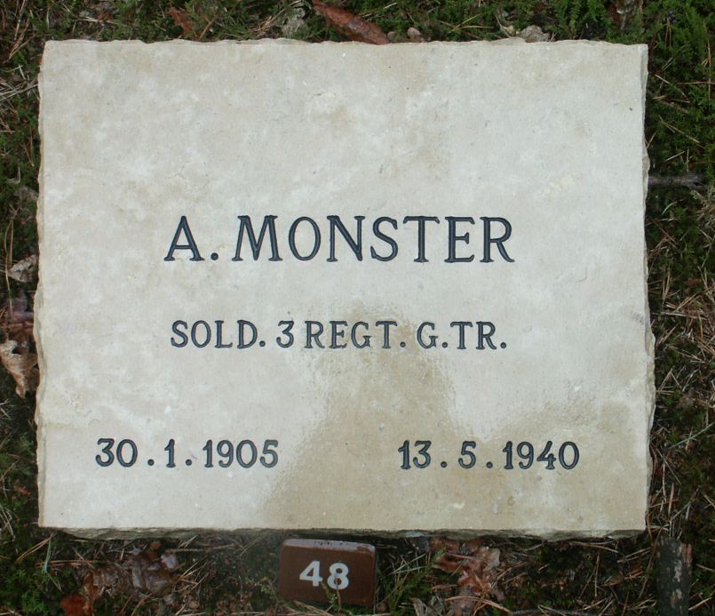 monster.a.jpg