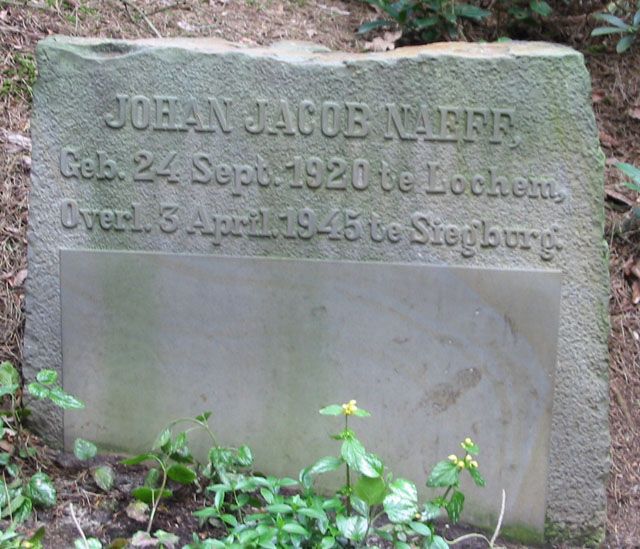 naeff.j.j.2008.jpg