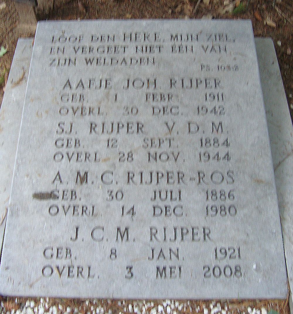 rijper.s.2010.jpg