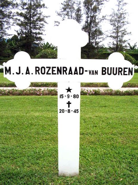 rozenraad buuren van.m.j.a.2004.jpg