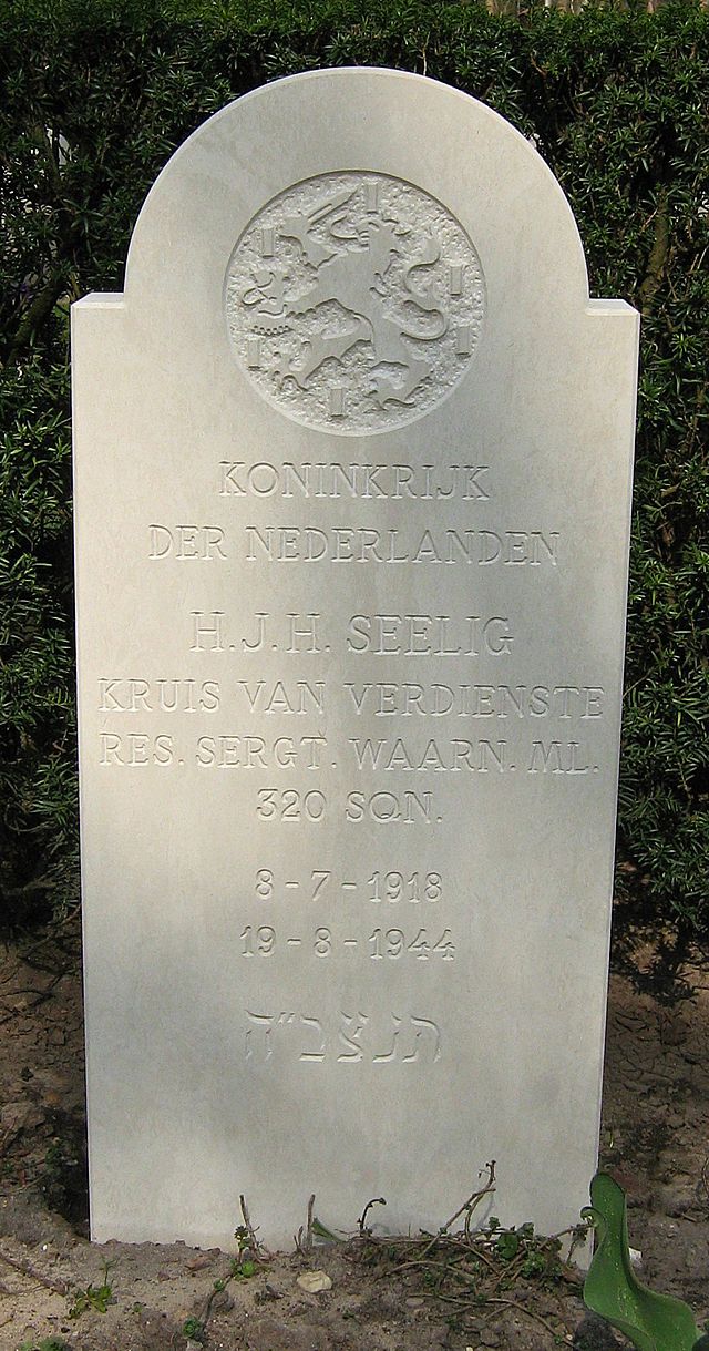 Hugo Jan Hadiwidjojo Seelig