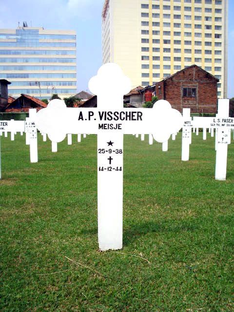 visscher.a.p.2005.jpg
